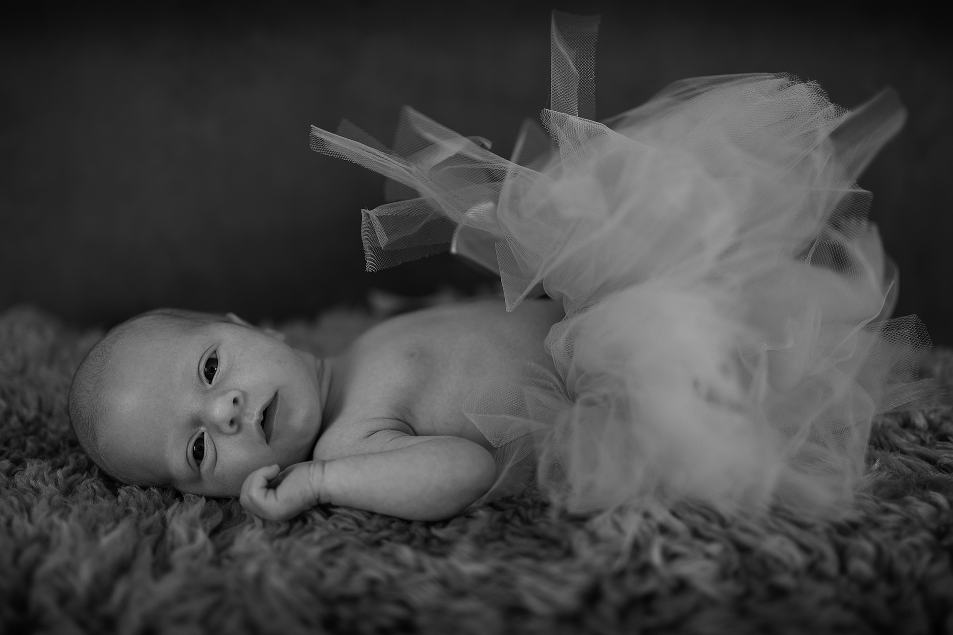 Nyfødtfotografering